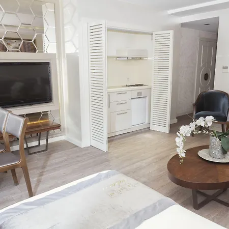 酒店 Taksim Galataport Frz Burak 4*